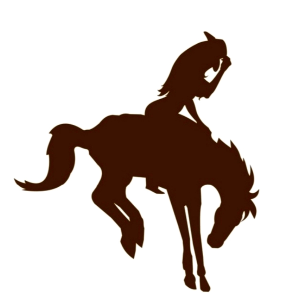 Meet your Posher, Keith & Shanet with Cowgirls & Buckaroos Boutique.